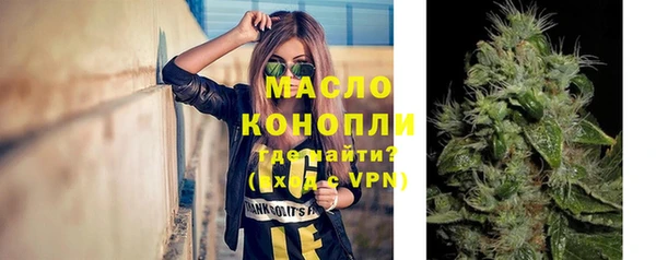 дмт Каменка