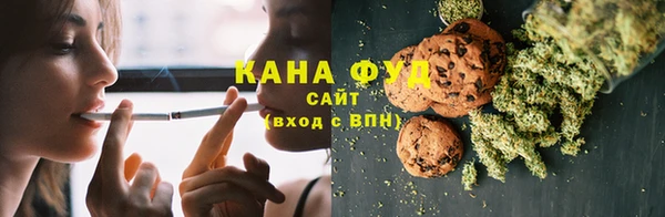 дмт Каменка