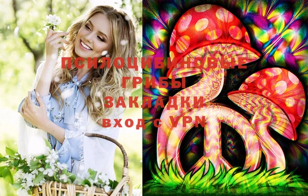 тгк Каменск-Шахтинский
