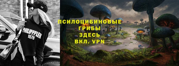 дмт Каменка