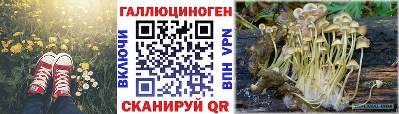 Псилоцибиновые грибы MAGIC MUSHROOMS  Купить  Высоковск 